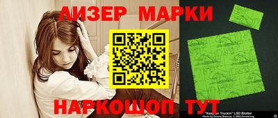стафф Гатчина