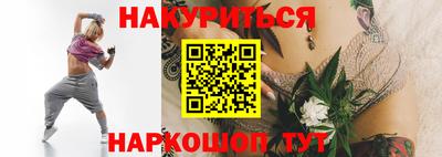 стафф Гатчина