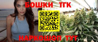 стафф Гатчина