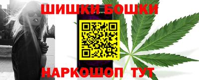 стафф Гатчина