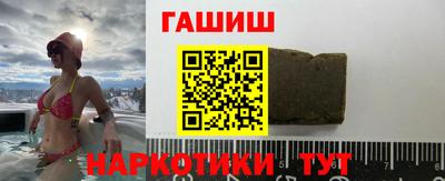 стафф Гатчина