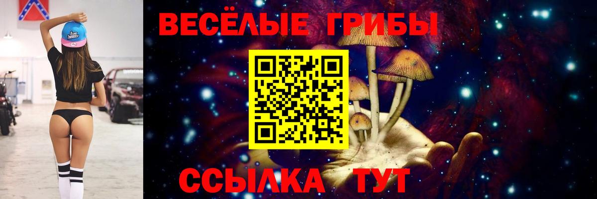 Галлюциногенные грибы GOLDEN TEACHER  Псилоцибиновые грибы Cubensis  Елабуга  Вход с VPN 